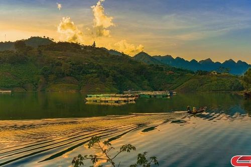 Nuôi cá lồng trên lòng hồ thủy điện