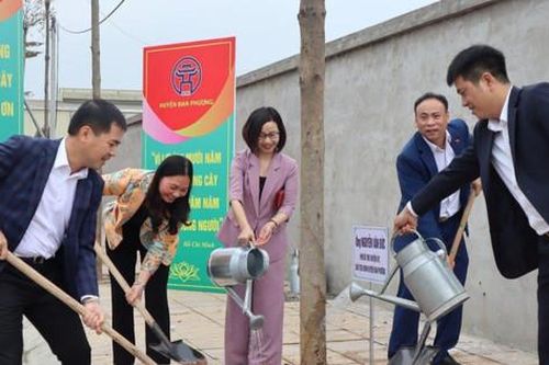 Đan Phượng đẩy mạnh trồng cây bóng mát, cây đô thị