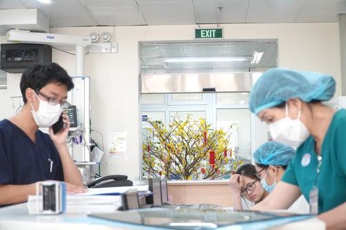 Số ca nhập viện ở TPHCM giảm trong 7 ngày nghỉ Tết