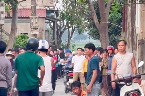 Trâu 'điên' húc chết 1 người và làm bị thương 2 người