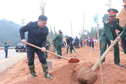 Bắc Kạn trồng cây xanh dọc đường du lịch đi hồ Ba Bể