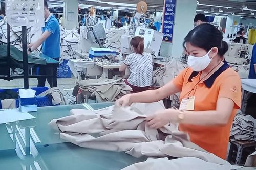 Thái Nguyên sôi nổi ra quân sản xuất ngay từ đầu năm