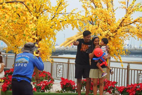 Duy trì đường hoa bên sông Hàn đến hết Tết Nguyên tiêu