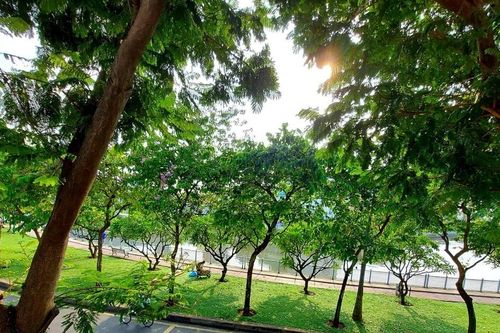 Tết này đã khác tết xưa
