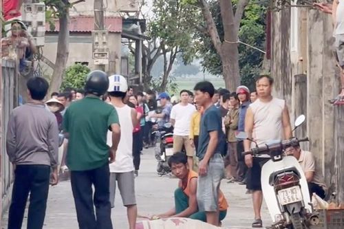 Trâu 'điên' húc 3 người thương vong ở Quảng Bình