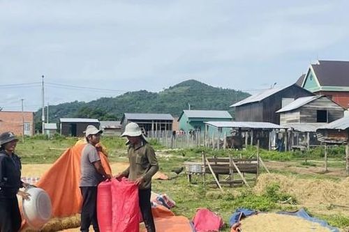 An cư vùng đất mới