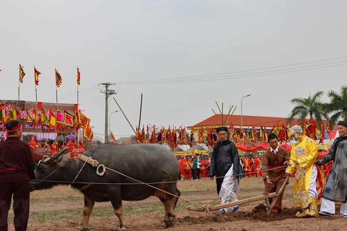 Hà Nam: Tưng bừng khai hội Tịch điền Đọi Sơn Xuân Giáp Thìn 2024