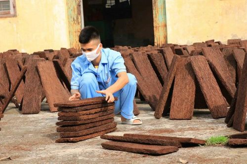 Triệt xóa các tụ điểm phức tạp về ma túy liên quan đến thanh, thiếu niên