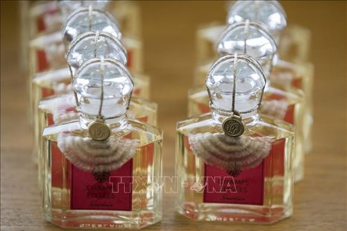 Mỹ và 5 nước châu Âu hoãn áp thuế dịch vụ kỹ thuật số thêm sáu tháng