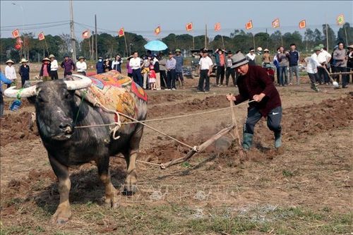 Hội thi Cày giỏi lan tỏa tình yêu lao động