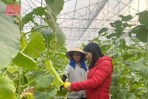 Hiệu quả từ phong trào 'Nông dân thi đua sản xuất, kinh doanh giỏi'
