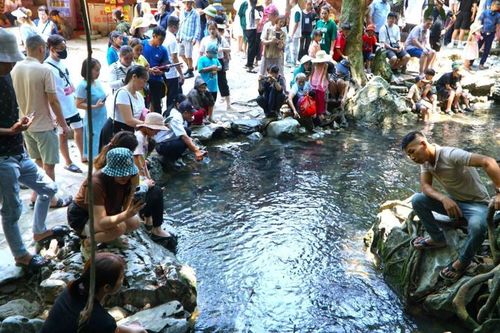 Du lịch Thanh Hóa thu gần 590 tỷ trong 7 ngày Tết