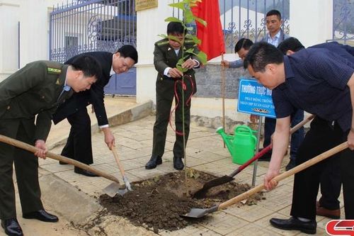 Thuận Châu phấn đấu trồng 3.740 cây phân tán