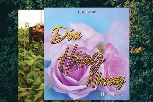 Đóa hồng nhung cho em