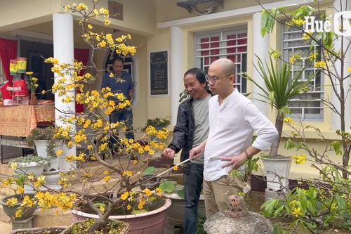 Thú chơi mai lạ