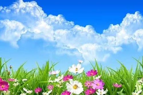 Muôn nẻo đường đời