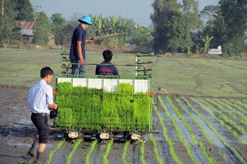 HTX 'tăng nhiệt' sản xuất sau Tết