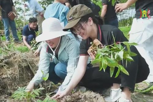 Những gia đình trẻ gieo mầm xanh