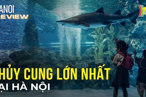 Khám phá thủy cung trong nhà lớn nhất tại Hà Nội | Hà Nội Reviews | 16/02/2024