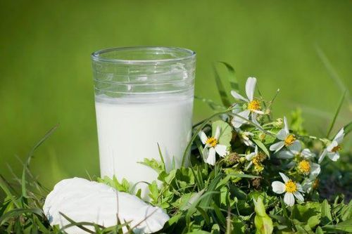 7 loại nước uống có thể giúp 'giải' rượu