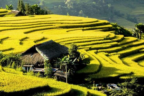 Sau 45 năm cuộc chiến đấu bảo vệ biên giới phía Bắc: Dải biên cương tự hào bước tiếp
