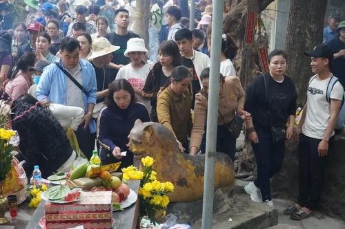 Lên chùa Hương Tích xoa tượng 'hổ thần' cầu mong bách bệnh tiêu tan