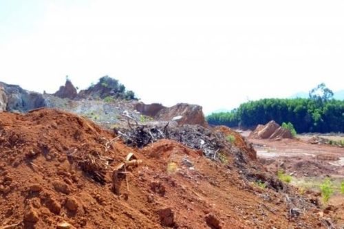 Đề nghị chuyển công an điều tra dấu hiệu trốn thuế của Công ty Xuân Vượng