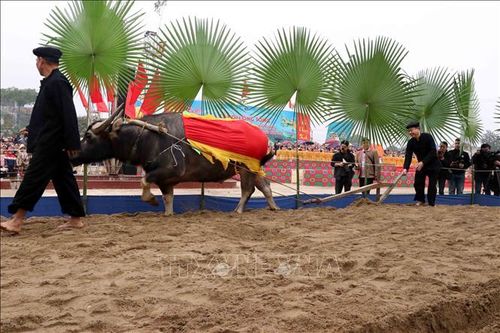 Nô nức trảy hội Lồng Tông truyền thống của đồng bào Tày (Tuyên Quang)