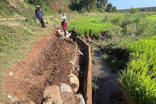 Kênh thủy lợi bị vỡ, người dân khắc phục tạm thời để cứu cánh đồng lúa