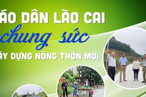 Giáo dân Lào Cai chung sức xây dựng nông thôn mới