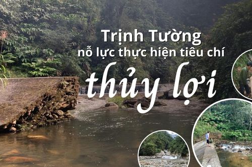 Trịnh Tường nỗ lực thực hiện tiêu chí thủy lợi
