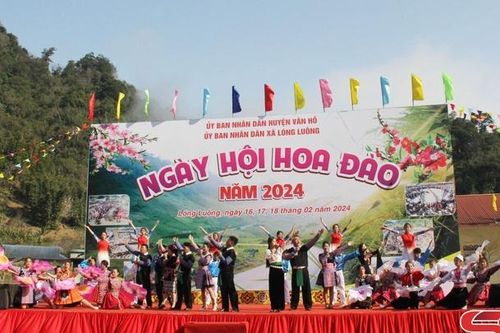 Khai mạc Ngày hội hoa đào xã Lóng Luông năm 2024