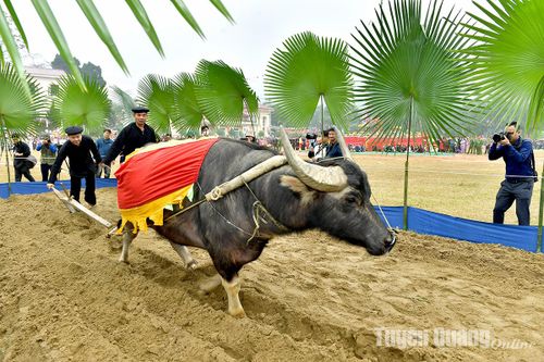 Trảy hội Lồng Tông của đồng bào Tày Tuyên Quang