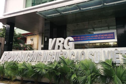 GVR sẽ đại hội cổ đông bất thường vào tháng 3/2024