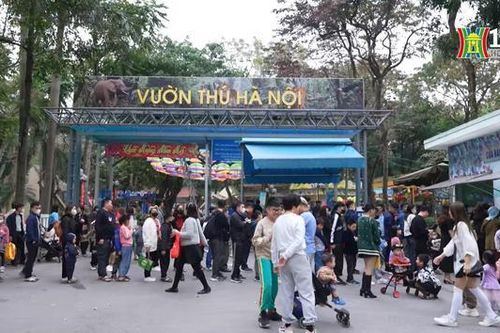 Đi chơi Vườn thú Hà Nội