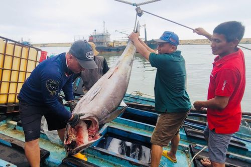 Ngư dân đón lộc đầu năm sau chuyến biển xuyên Tết