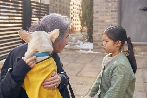 Phim hay chiếu rạp: Sen Boss Sum Vầy - khi thú cưng trở thành liều thuốc chữa lành