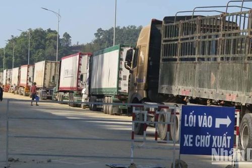 Các cửa khẩu tại Lạng Sơn thông quan hàng hóa trở lại