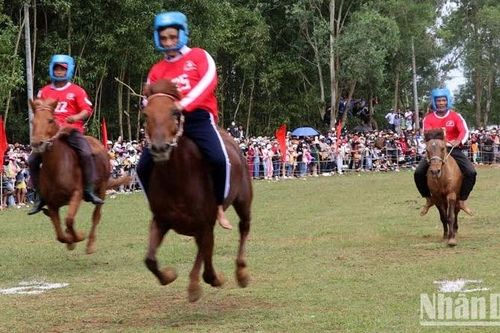 Hàng ngàn người tham gia hội đua ngựa truyền thống Gò Thì Thùng, Phú Yên
