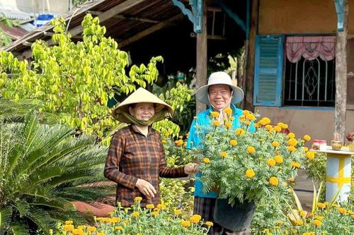 Tết còn một khóm vạn thọ