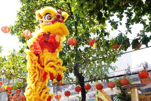 Rước lân xuống phố