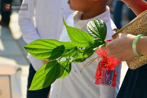 Biếc xanh cành lộc