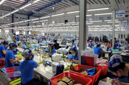 Cà Mau triển khai Tháng hành động về An toàn, vệ sinh lao động