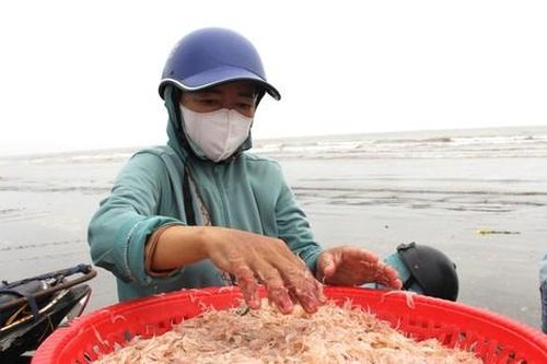 Sau vài giờ xông biển đầu năm, ngư dân thu tiền triệu