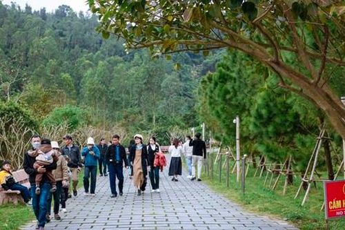 Hàng nghìn người dân viếng mộ Đại tướng Võ Nguyên Giáp mỗi ngày