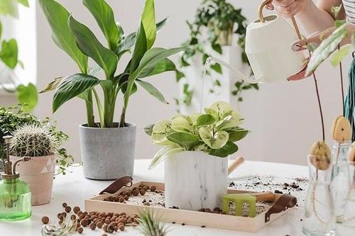 Mẹo phong thủy giúp thăng tiến sự nghiệp trong năm 2024