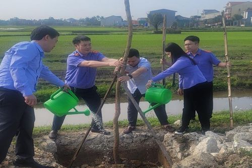 VKSND huyện Lộc Hà hưởng ứng Tết trồng cây
