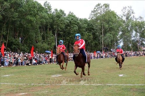 Đặc sắc Hội đua ngựa truyền thống Gò Thì Thùng
