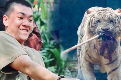 Người dân thích thú hò hét thi kéo co với hổ ở Thảo Cầm Viên mùng 9 Tết