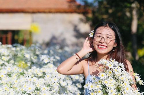 Du xuân trên những cánh đồng hoa ở phố núi Pleiku